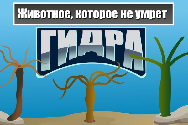 Kraken актуальный сайт