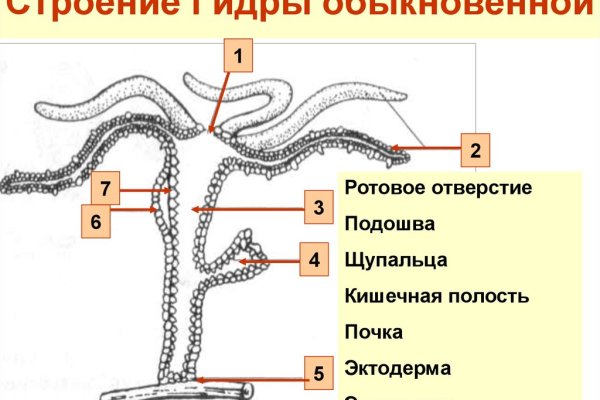 Как открыть кракен