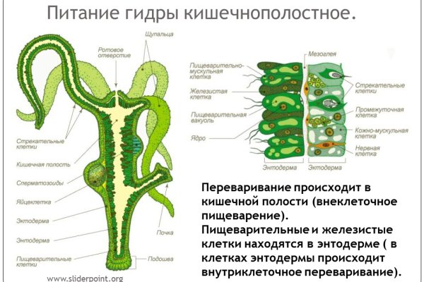 Зеркало kraken krakens16